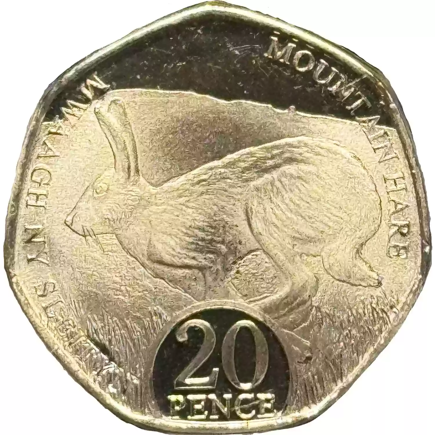 Image of the coins reverse