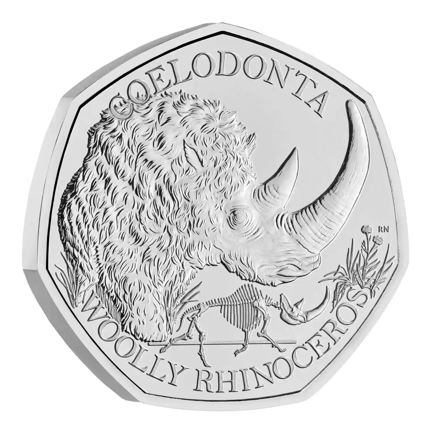 Image of the coins reverse