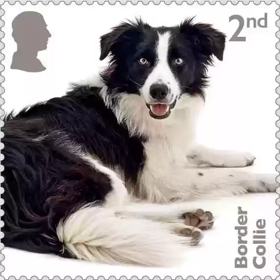 Image of the stamps obverse