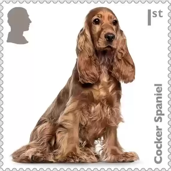 Image of the stamps obverse