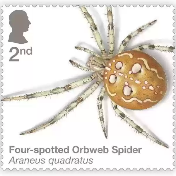 Image of the stamps obverse