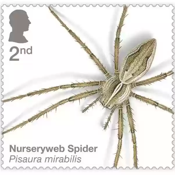 Image of the stamps obverse